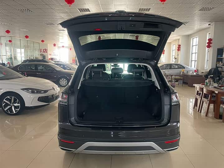 Tayron 2023 280TSI 2WD Luxury Plus Advanced фото 25