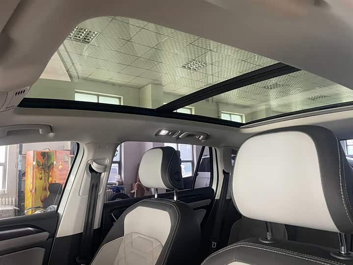 Tayron 2023 280TSI 2WD Luxury Plus Advanced фото 17