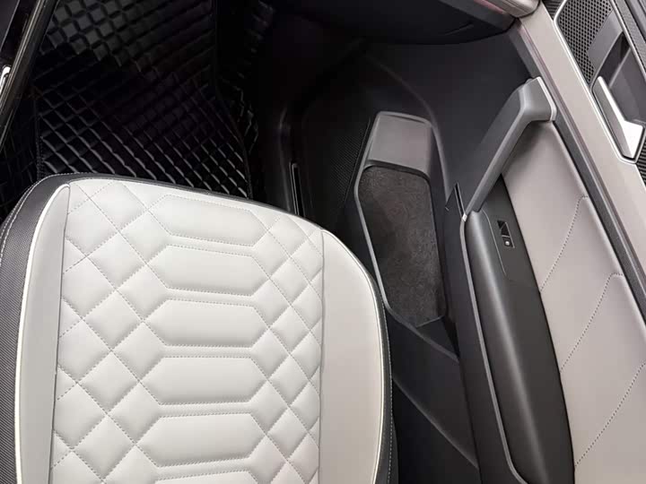 Tayron 2023 280TSI 2WD Luxury Plus Advanced фото 13
