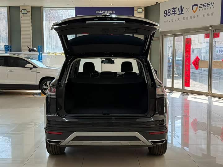 Tayron 2023 280TSI 2WD Luxury Plus Advanced фото 23