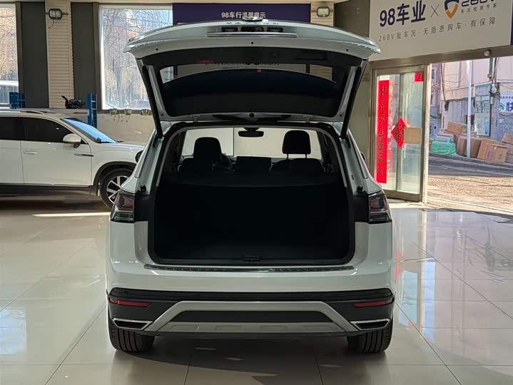 Tayron 2023 280TSI 2WD Luxury Plus Advanced фото 23