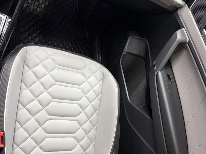 Tayron 2023 280TSI 2WD Luxury Plus Advanced фото 13
