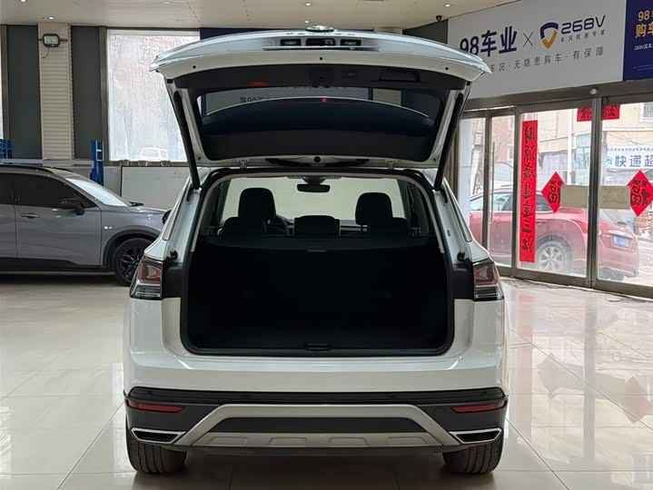 Tayron 2023 280TSI 2WD Luxury Plus Advanced фото 23