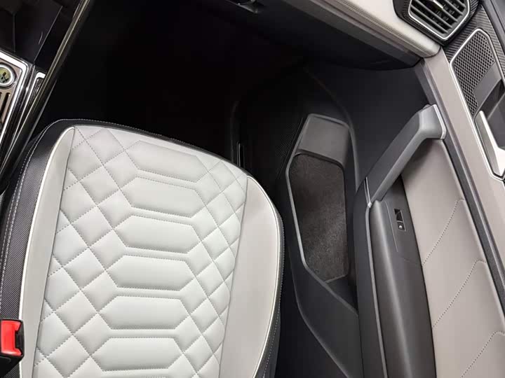 Tayron 2023 280TSI 2WD Luxury Plus Advanced фото 13