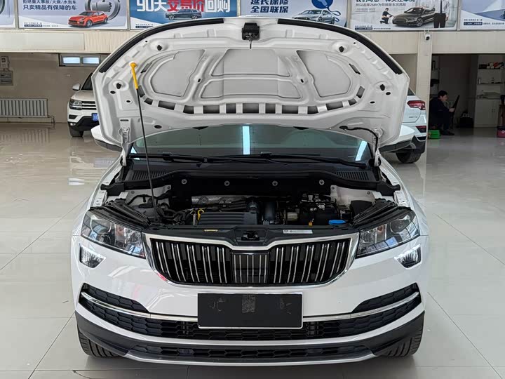 Karoq 2021 TSI280 Luxury фото 7