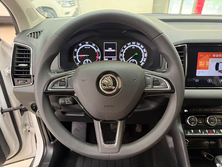 Karoq 2021 TSI280 Luxury фото 11