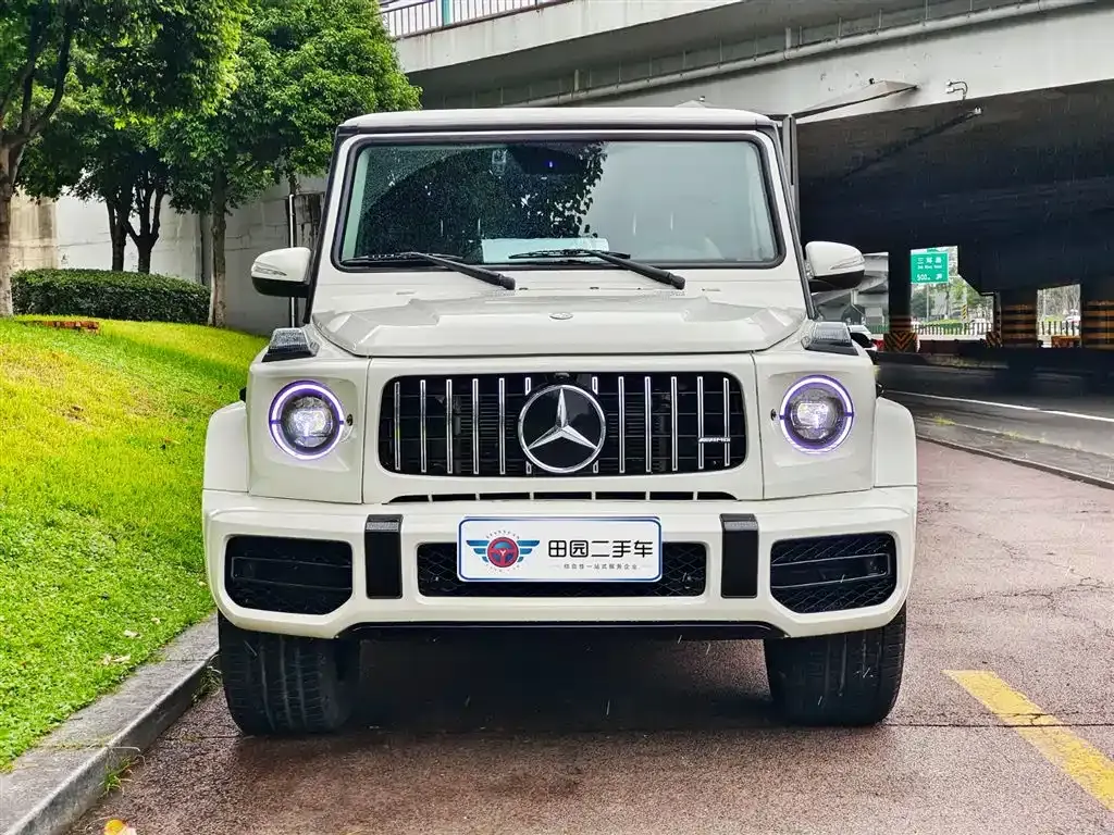 Mercedes-Benz G-Class 2013 G 500 фото 2