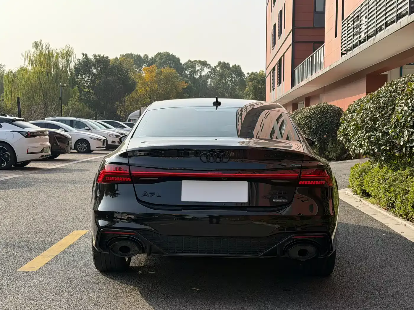 Audi A7L 2024 45 TFSI quattro S-line Black Warrior Edition фото 15