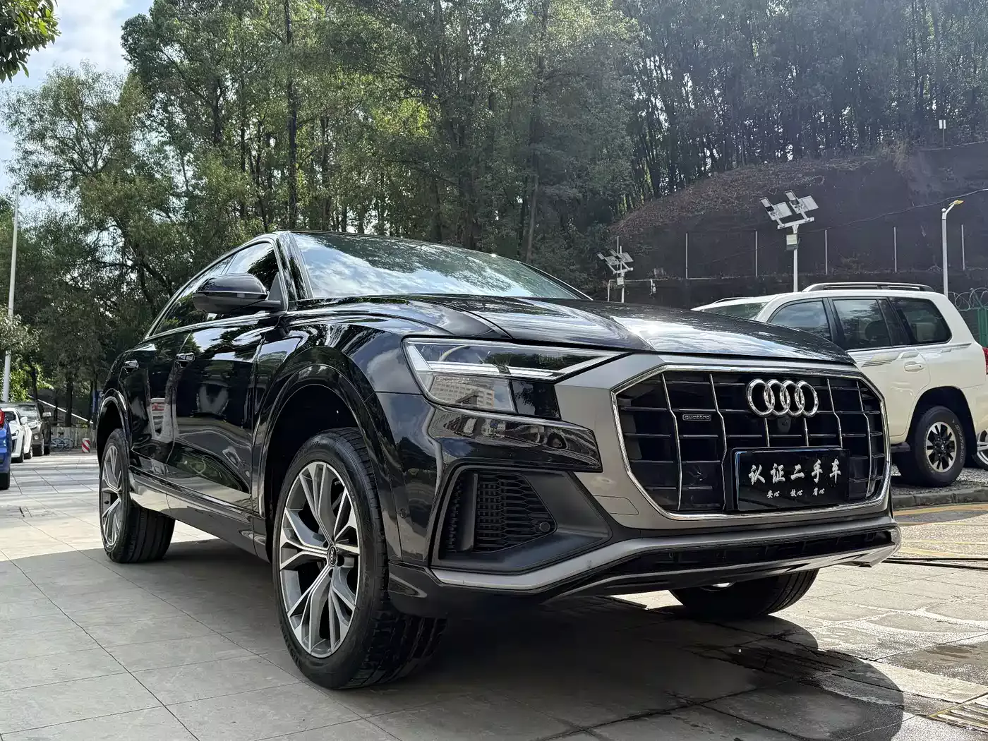 Audi Q8 2022 55 TFSI Luxury Dynamic фото 2