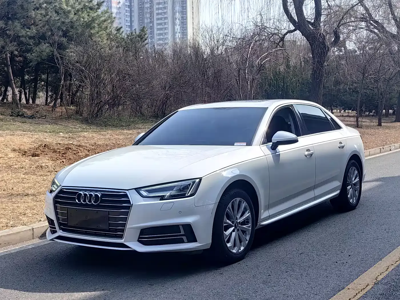 Audi A4L 2019 40 TFSI Progressive (China VI)