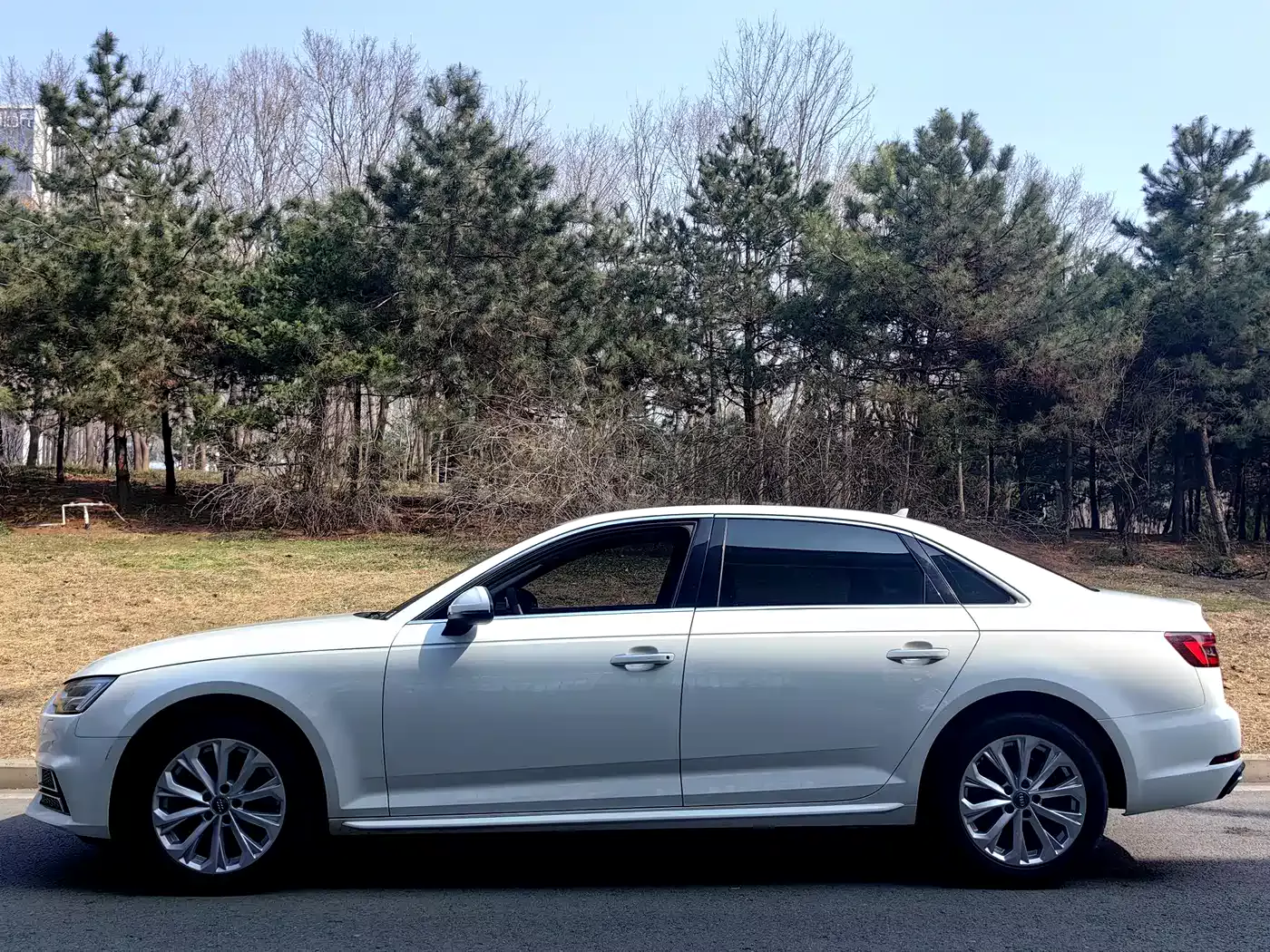 Audi A4L 2019 40 TFSI Progressive (China VI) фото 3