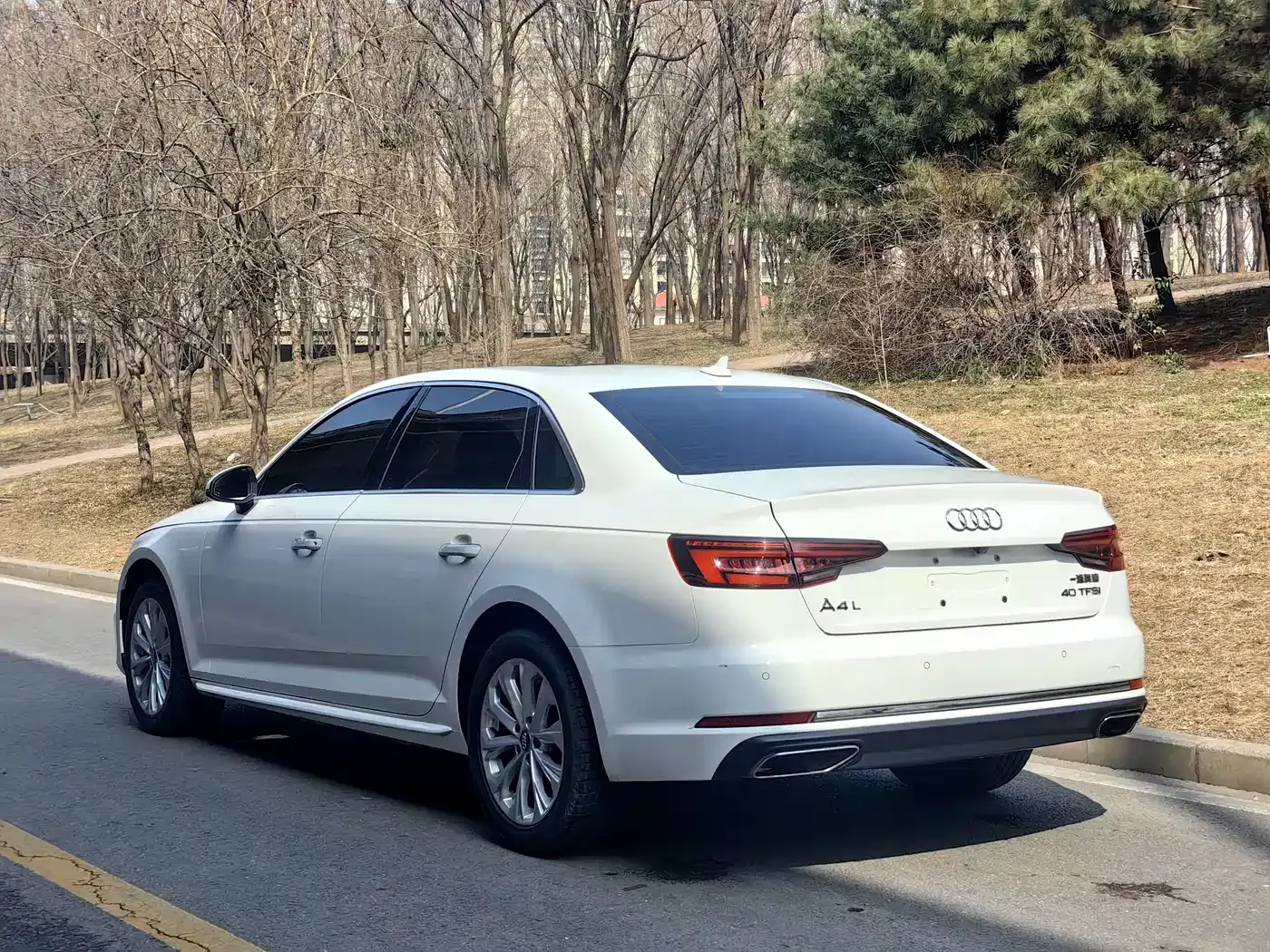Audi A4L 2019 40 TFSI Progressive (China VI) фото 4