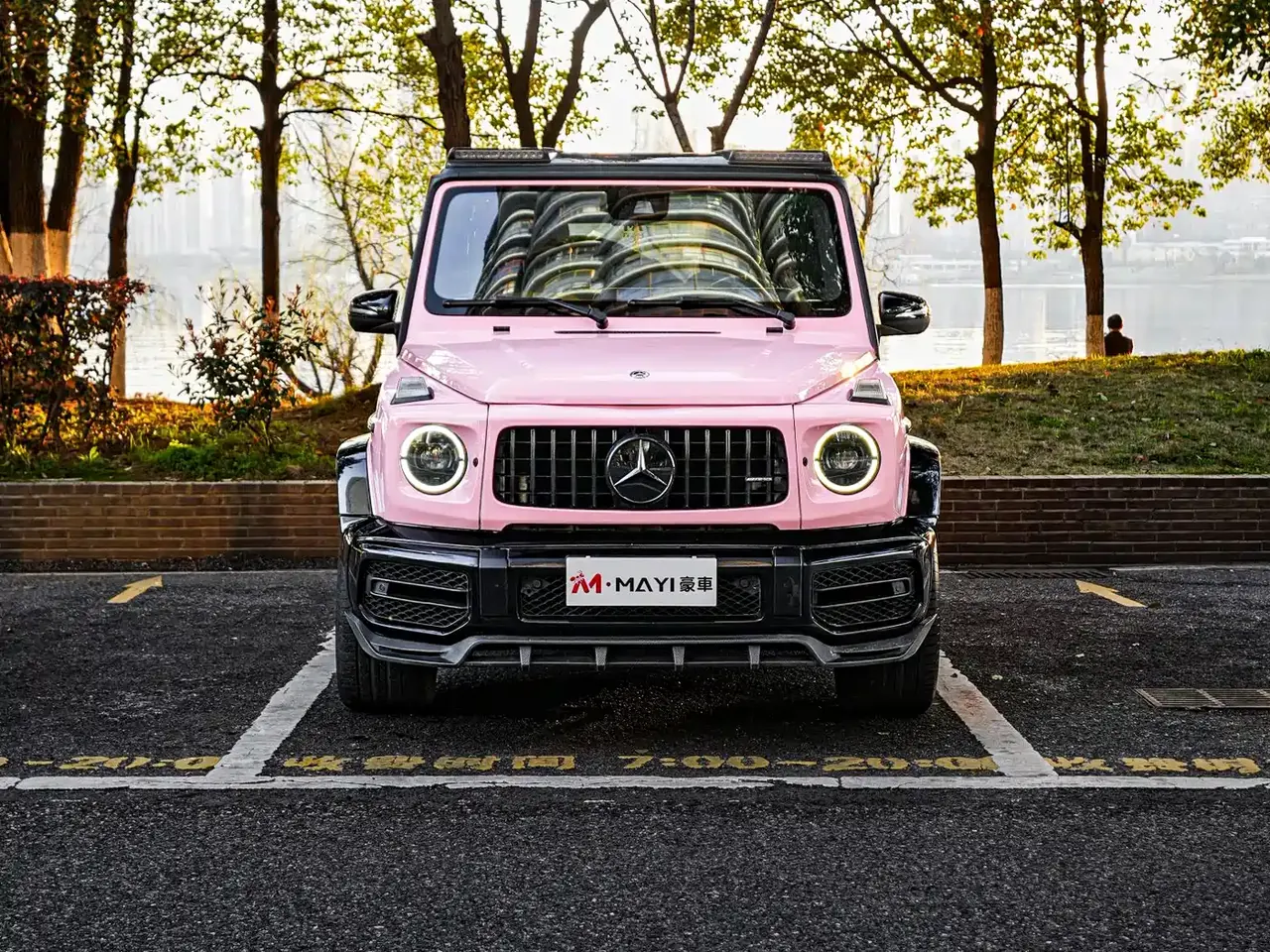 Mercedes-Benz G-Class 2018 G 500 designo Masterpiece Collector's Edition фото 2