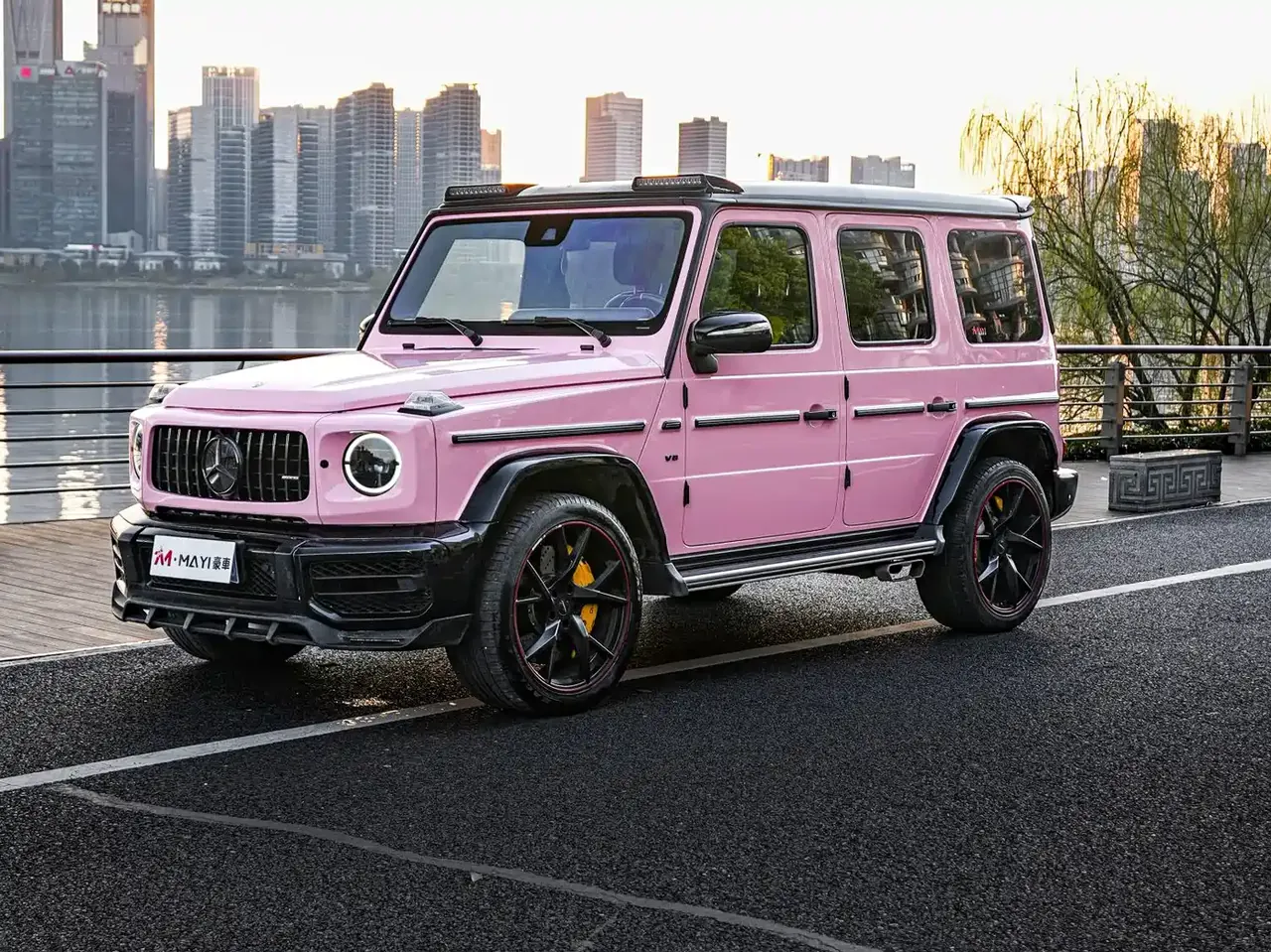 Mercedes-Benz G-Class 2018 G 500 designo Masterpiece Collector's Edition фото 4
