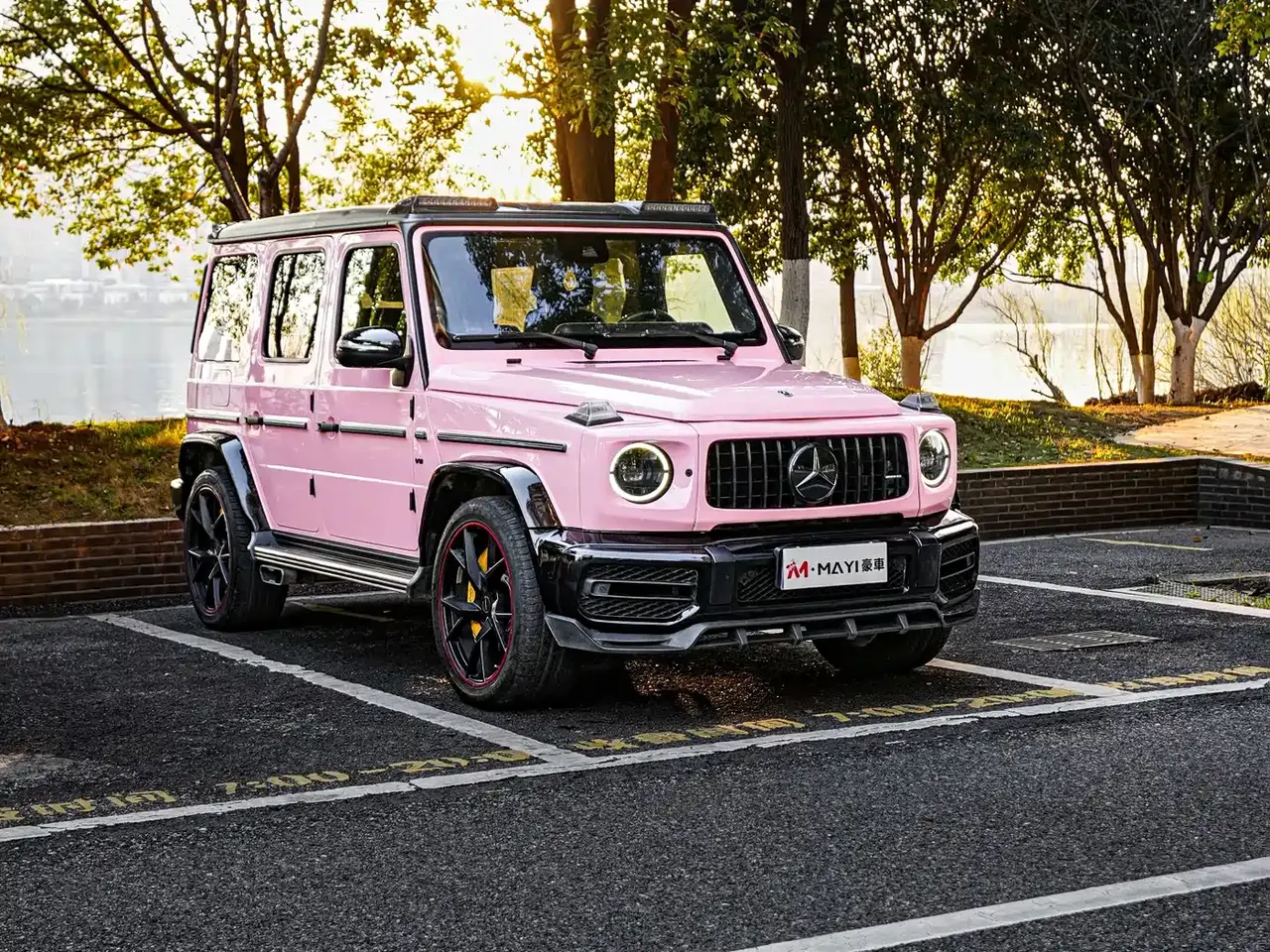 Mercedes-Benz G-Class 2018 G 500 designo Masterpiece Collector's Edition фото 5
