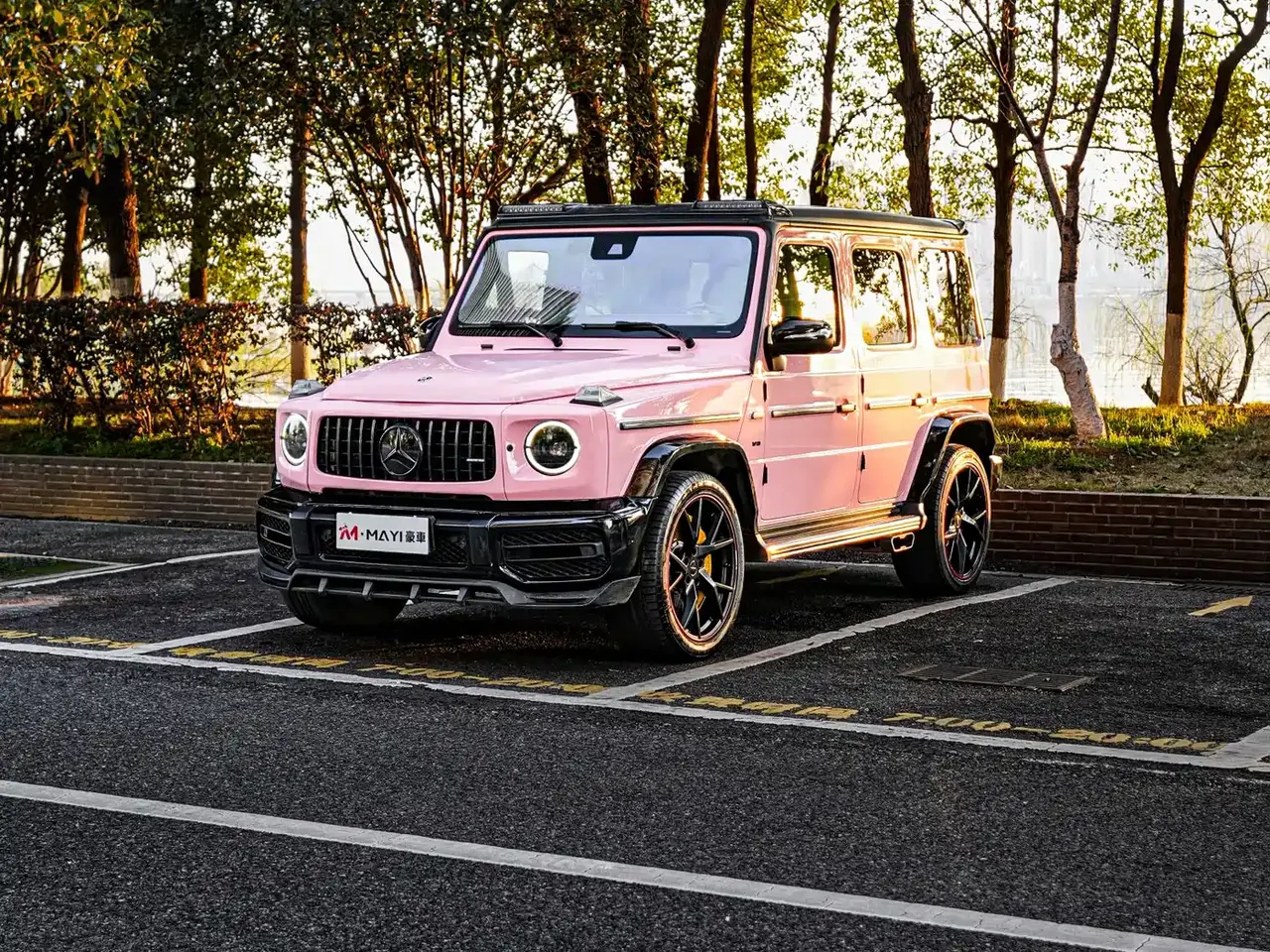 Mercedes-Benz G-Class 2018 G 500 designo Masterpiece Collector's Edition фото 6