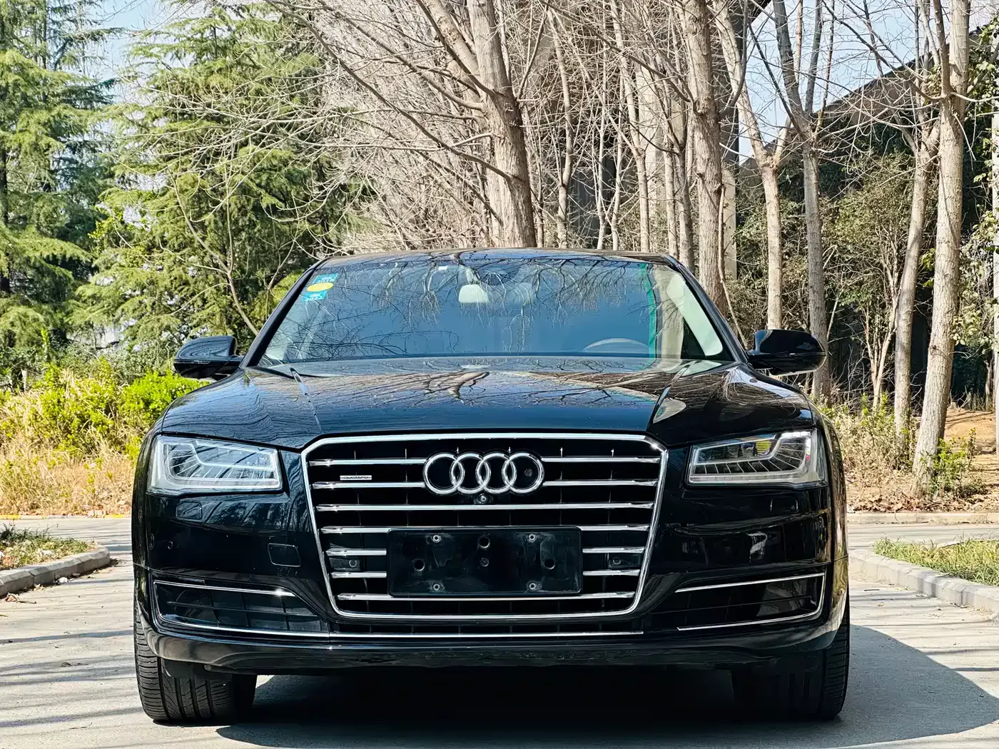Audi A8 2014 A8L 60 TFSI quattro Luxury фото 2