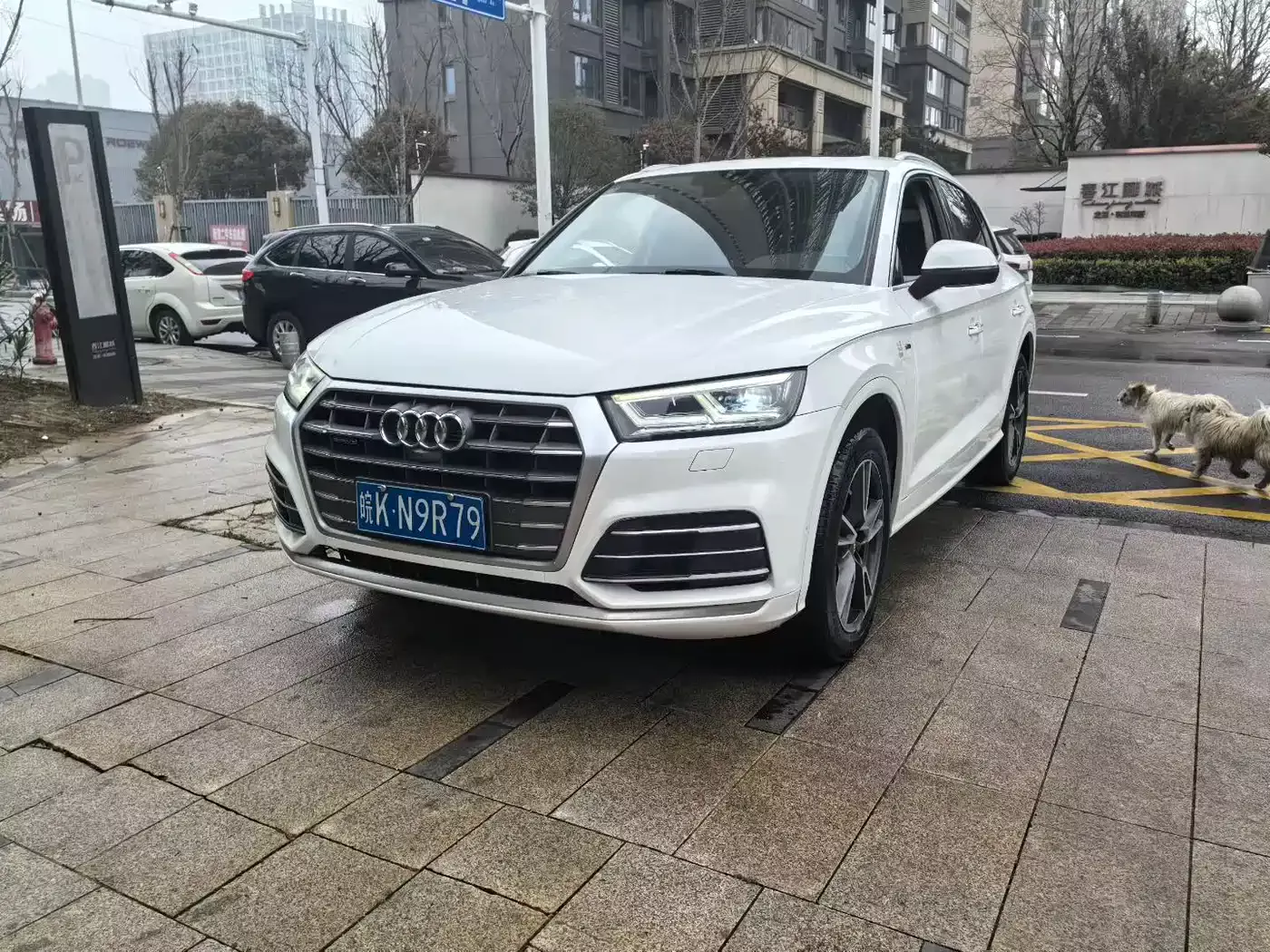Audi Q5L 2020 45 TFSI Exclusive Fashion