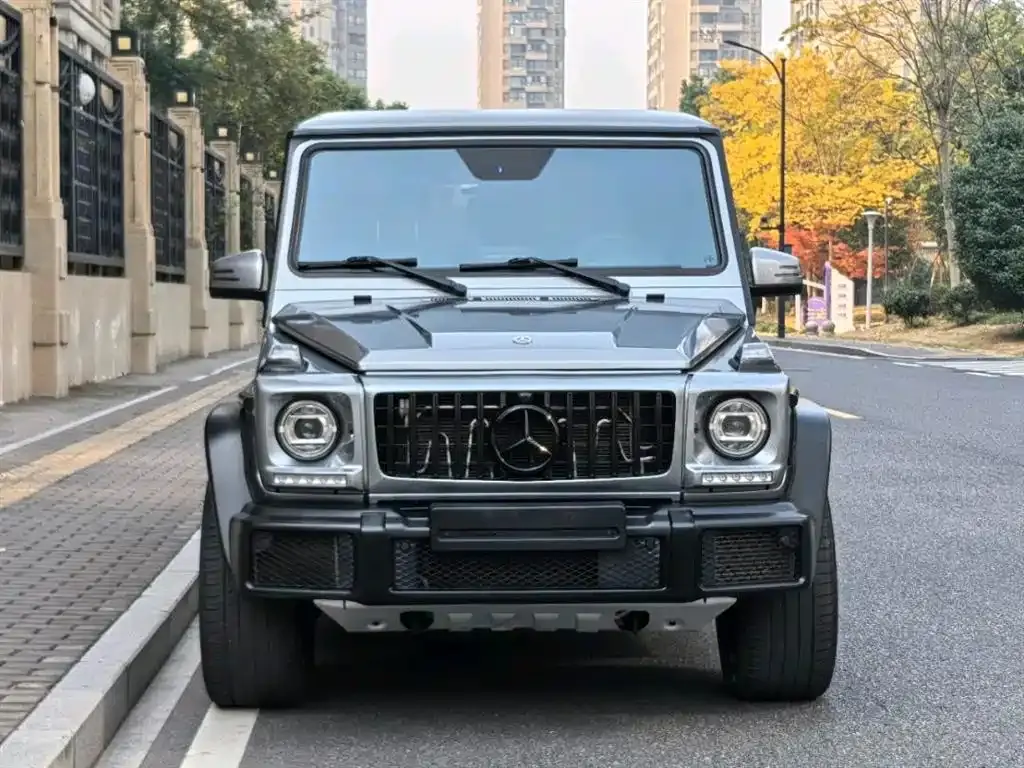 Mercedes-Benz G-Class 2018 G 500 designo Masterpiece Collector's Edition фото 2