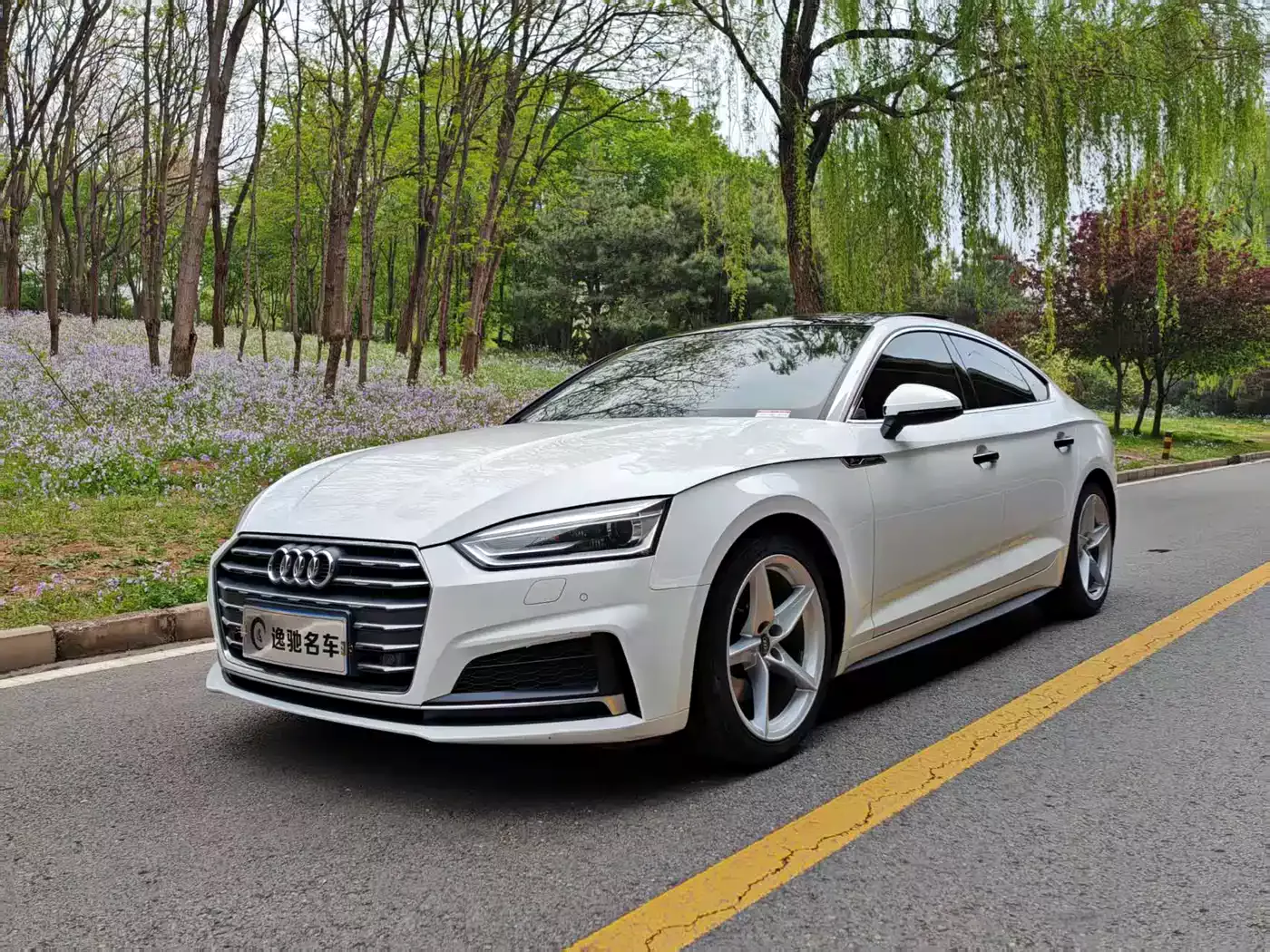 Audi A5 (Import) 2017 Sportback 40 TFSI Fashion
