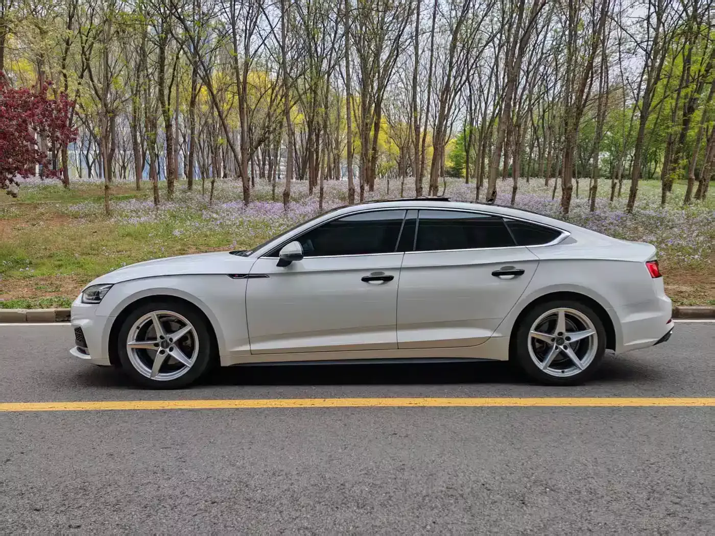 Audi A5 (Import) 2017 Sportback 40 TFSI Fashion фото 3