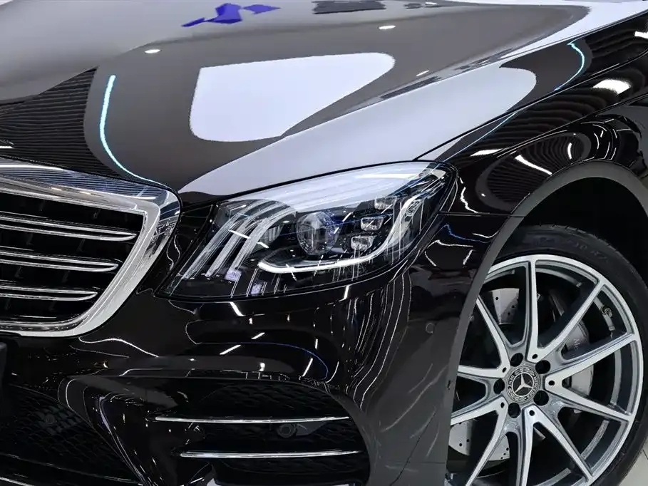 Mercedes-Benz S-Class 2020 S 450 L 4MATIC Collector's Version фото 10