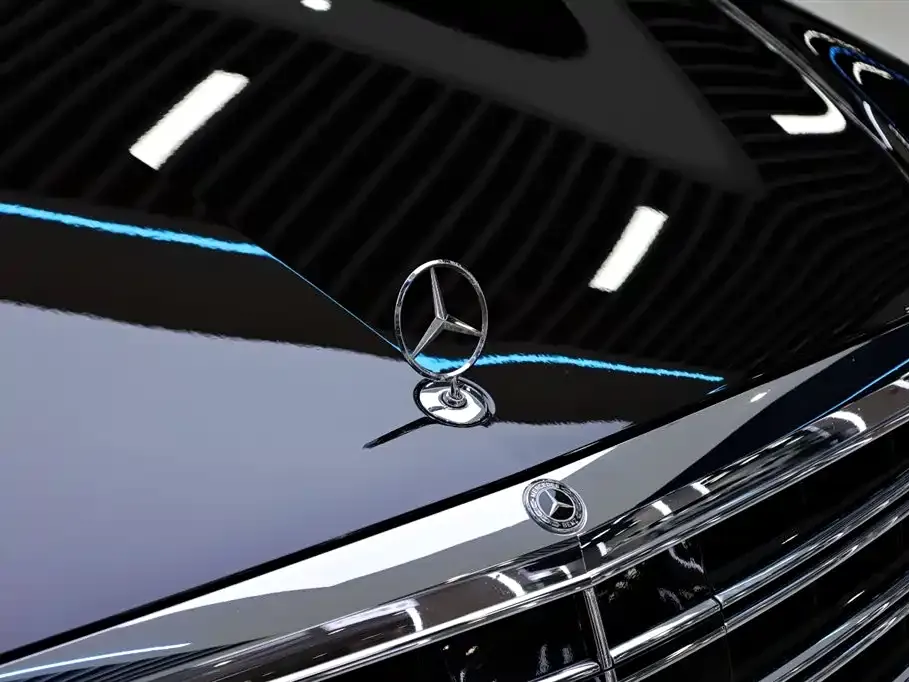 Mercedes-Benz S-Class 2020 S 450 L 4MATIC Collector's Version фото 13