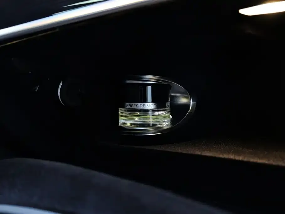 Mercedes-Benz S-Class 2020 S 450 L 4MATIC Collector's Version фото 33