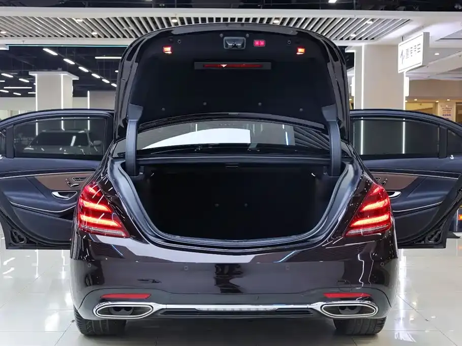 Mercedes-Benz S-Class 2020 S 450 L 4MATIC Collector's Version фото 46