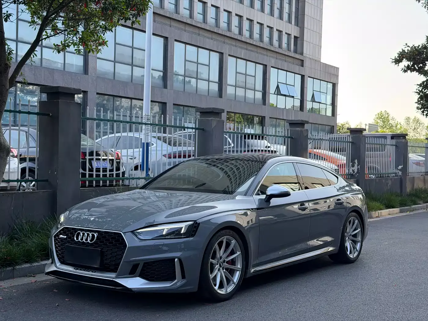 Audi RS 5 2019 RS 5 2.9T Sportback