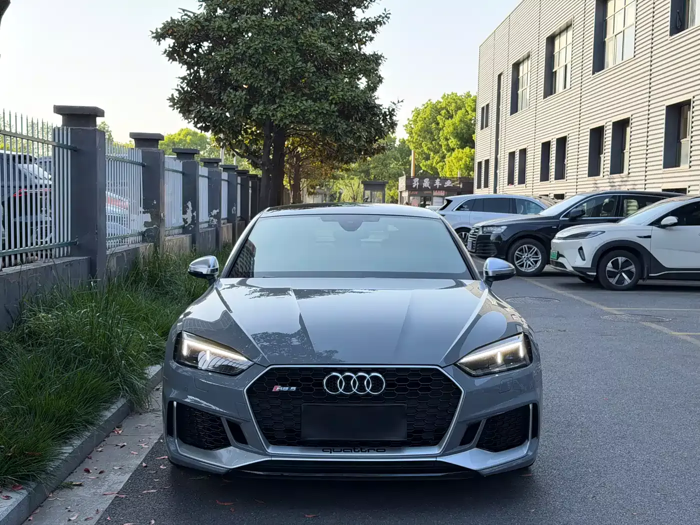 Audi RS 5 2019 RS 5 2.9T Sportback фото 2