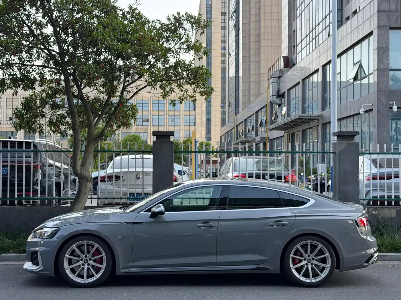 Audi RS 5 2019 RS 5 2.9T Sportback фото 3