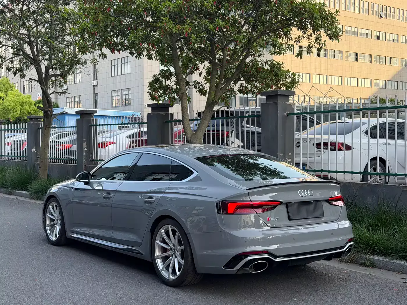 Audi RS 5 2019 RS 5 2.9T Sportback фото 4