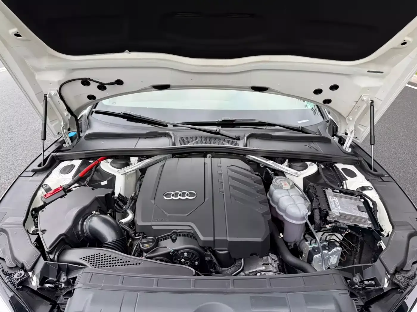 Audi A5 (Import) 2022 Sportback 40 TFSI Fashion Dynamic фото 12