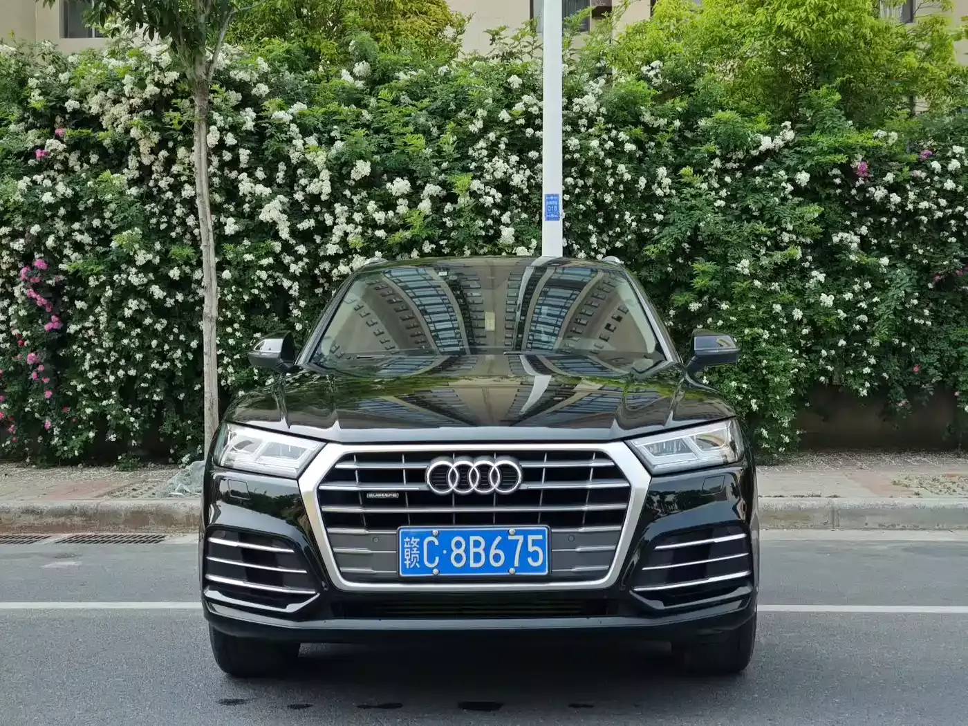 Audi Q5L 2020 40 TFSI Prestige Fashion фото 2