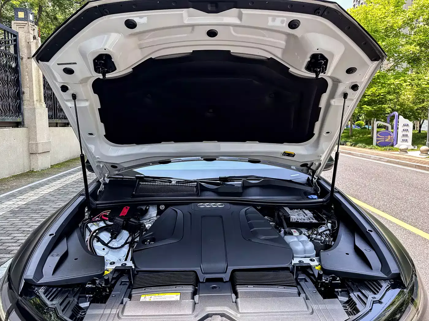 Audi Q8 2019 45 TFSI Luxury Elegance фото 17