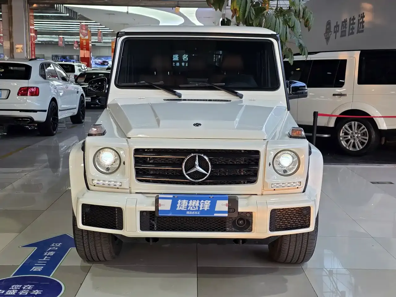 Mercedes-Benz G-Class 2018 G 500 designo Masterpiece Collector's Edition фото 2