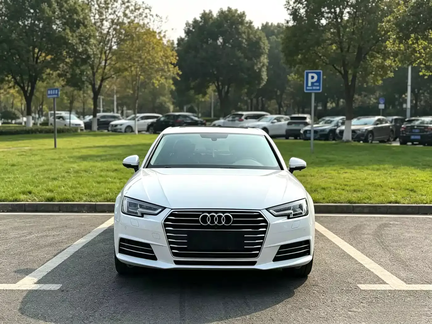 Audi A4L 2017 40 TFSI Progressive фото 2