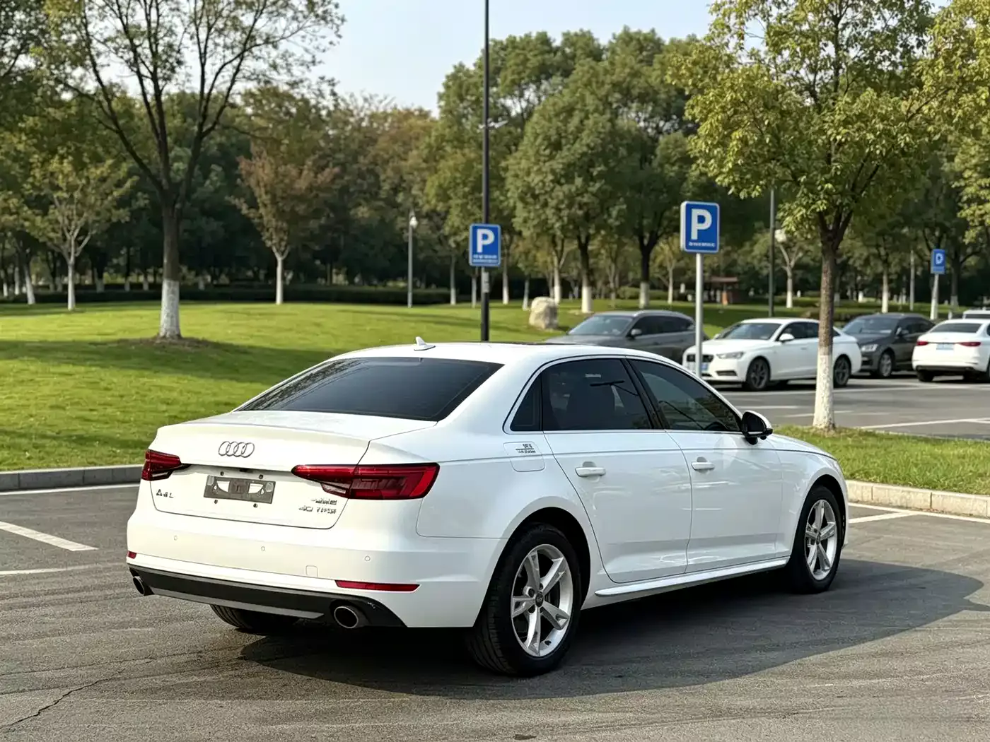 Audi A4L 2017 40 TFSI Progressive фото 7