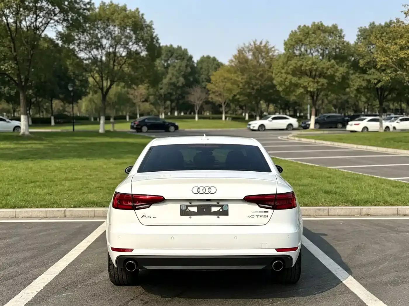 Audi A4L 2017 40 TFSI Progressive фото 8