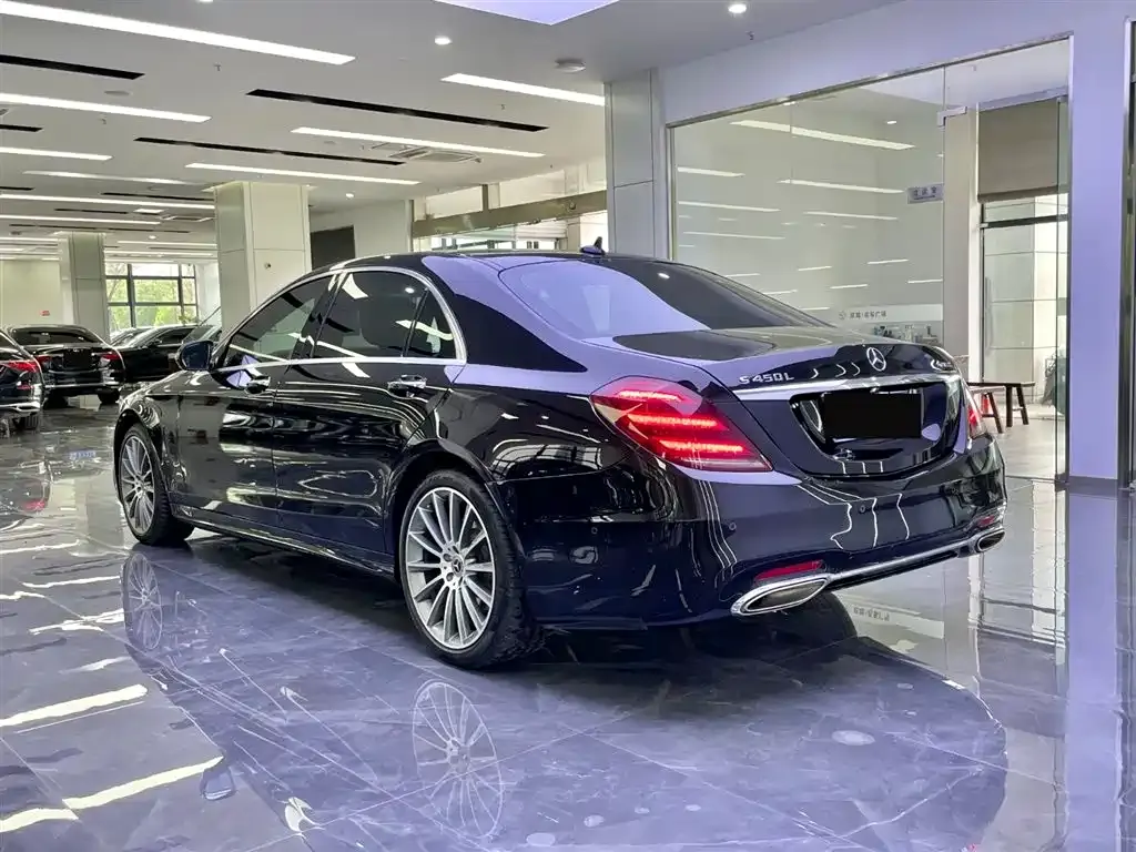 Mercedes-Benz S-Class 2019 S 450 L 4MATIC фото 5