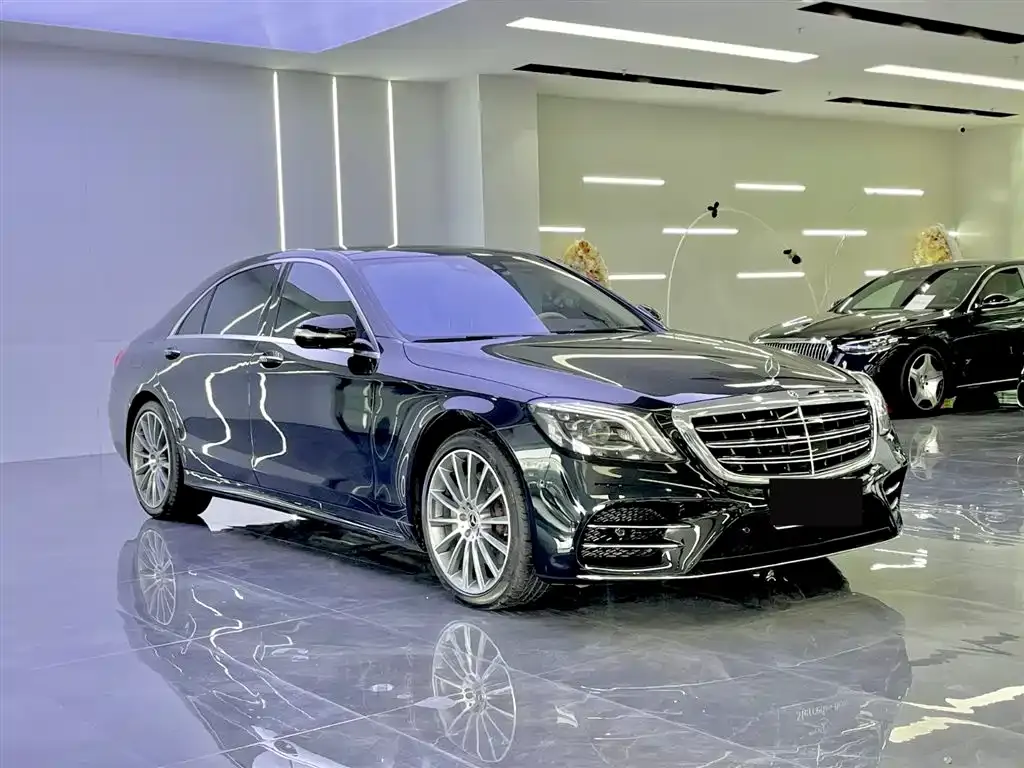 Mercedes-Benz S-Class 2019 S 450 L 4MATIC фото 6