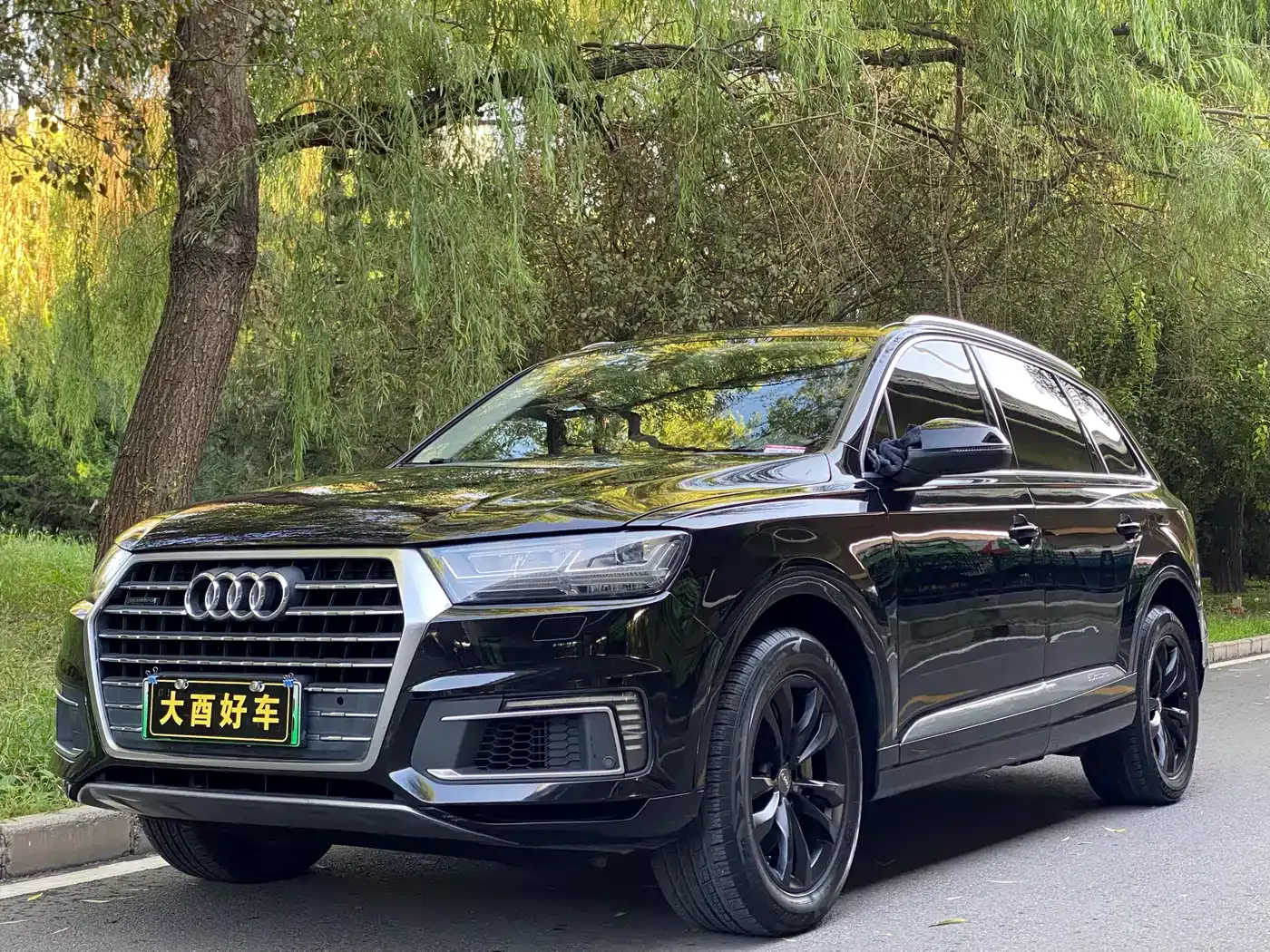 Audi Q7 New Energy 2019 55 e-tron