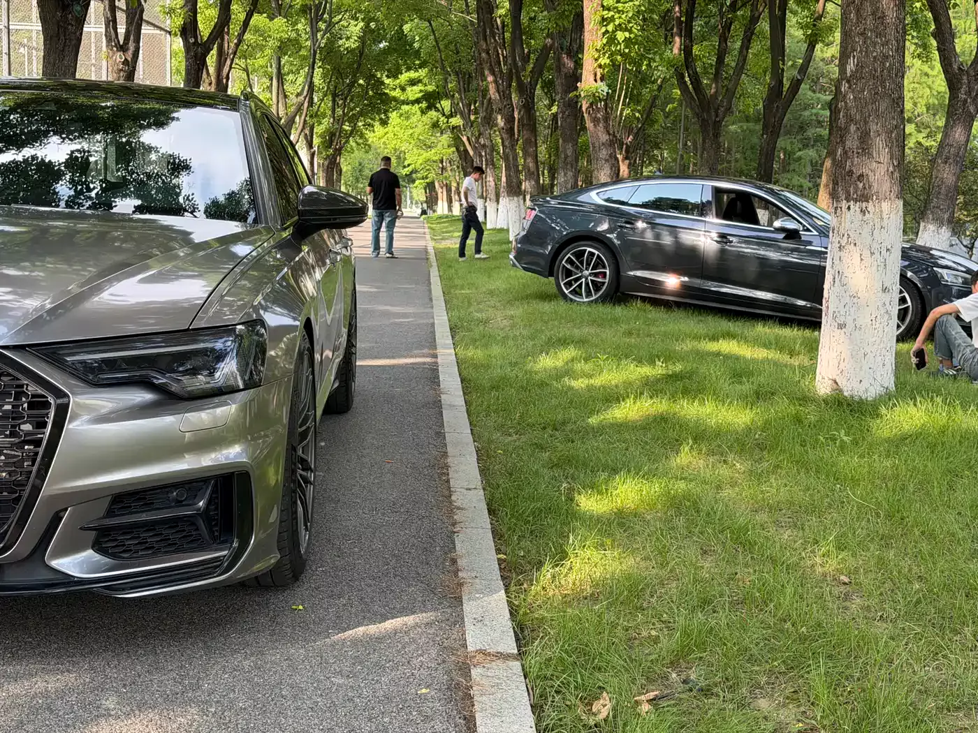 Audi A6 (Import) 2020 Avant Pioneer 45 TFSI Premium Dynamic фото 4