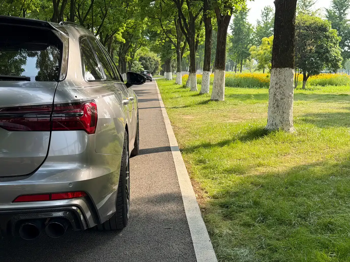 Audi A6 (Import) 2020 Avant Pioneer 45 TFSI Premium Dynamic фото 14