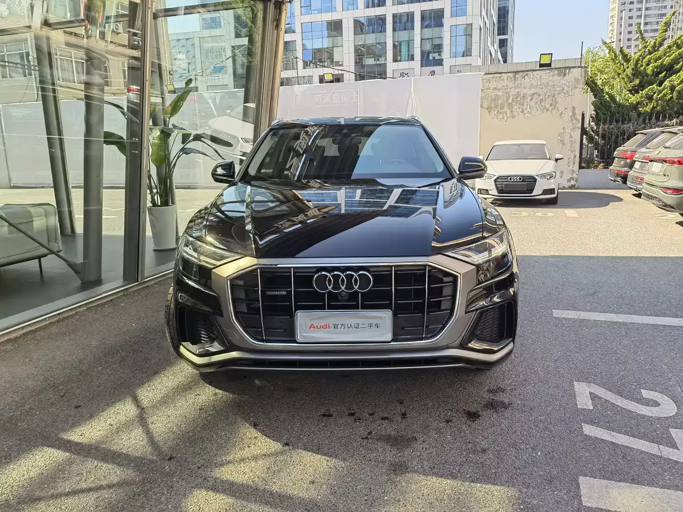 Audi Q8 2019 45 TFSI Premium Dynamic фото 3