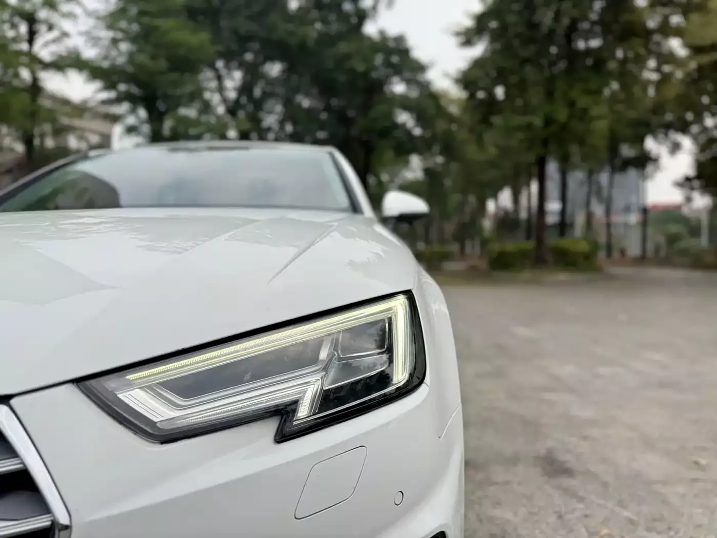 Audi A4L 2018 30th Anniversary 40 TFSI Progressive фото 16