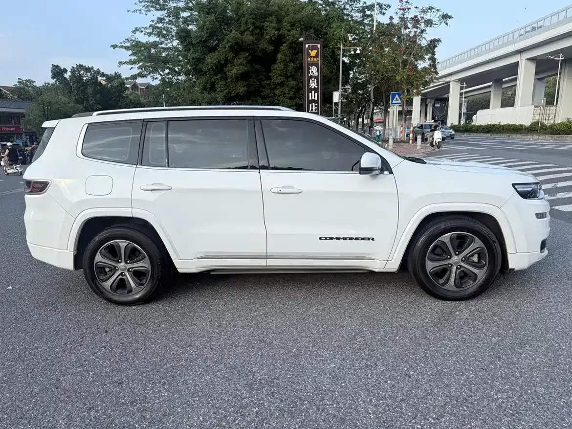 Jeep Commander PHEV 2020 2.0T Plug-in Hybrid Premium Edition фото 4