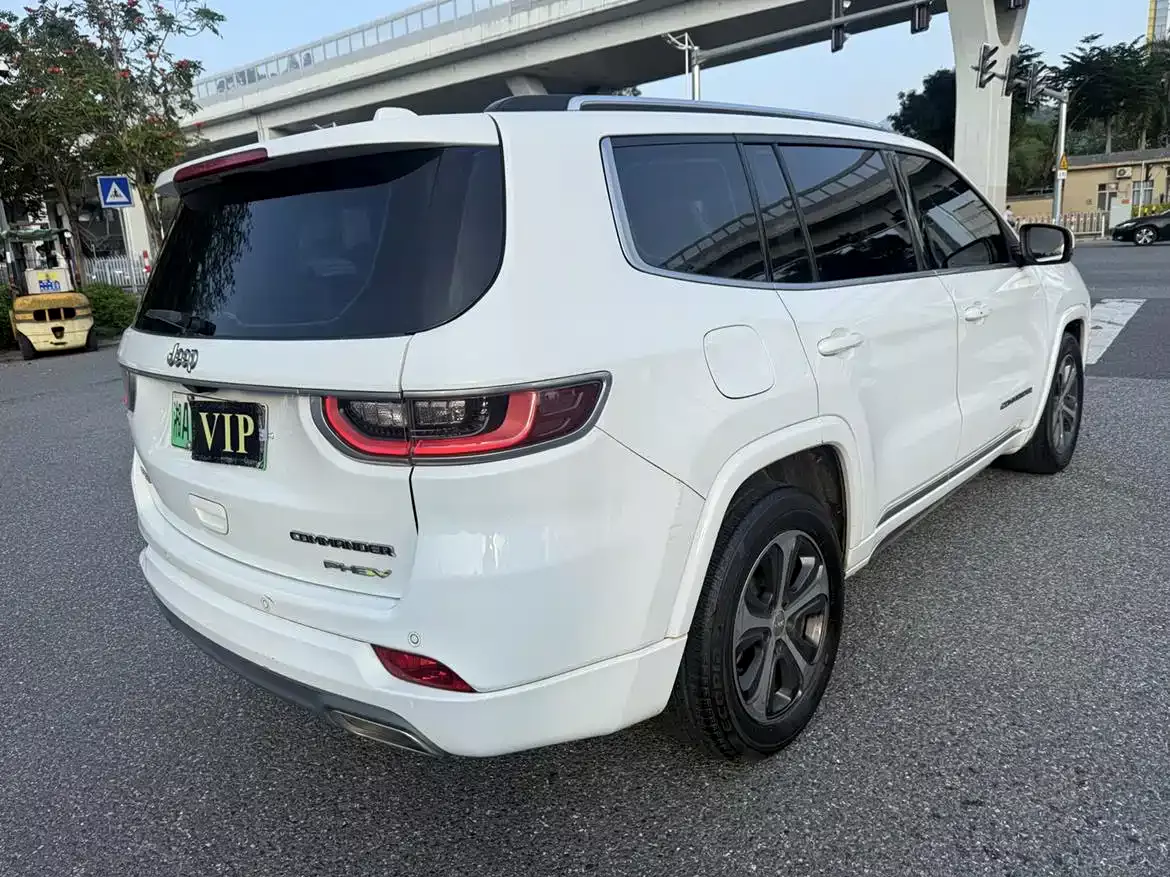 Jeep Commander PHEV 2020 2.0T Plug-in Hybrid Premium Edition фото 5
