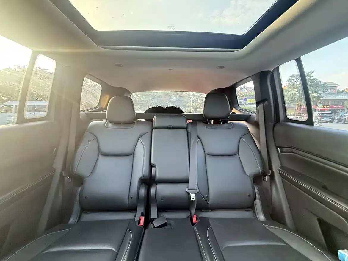 Jeep Commander PHEV 2020 2.0T Plug-in Hybrid Premium Edition фото 12